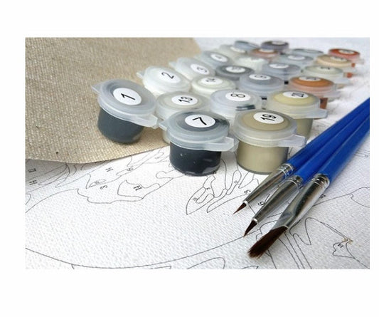 Angry Bison DIY Painting By Numbers Kits