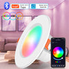Graffiti Bluetooth Smart Downlight Voice Control Full Color Dimming Speaker Five-way Light