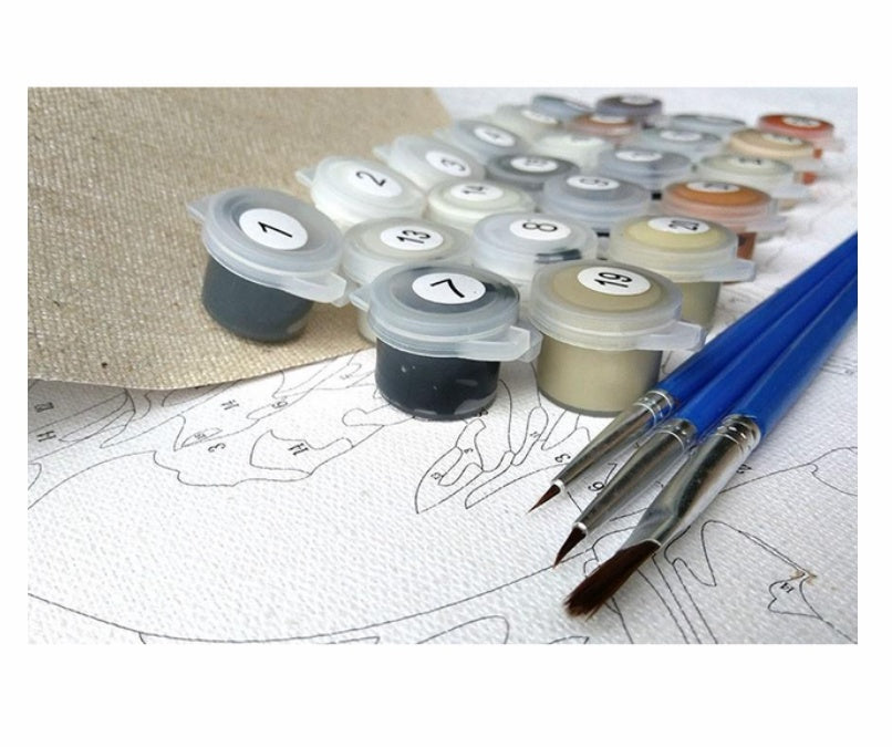 Lost My Heart  DIY Painting By Numbers Kits