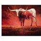 Angry Bison  DIY Painting By Numbers Kits